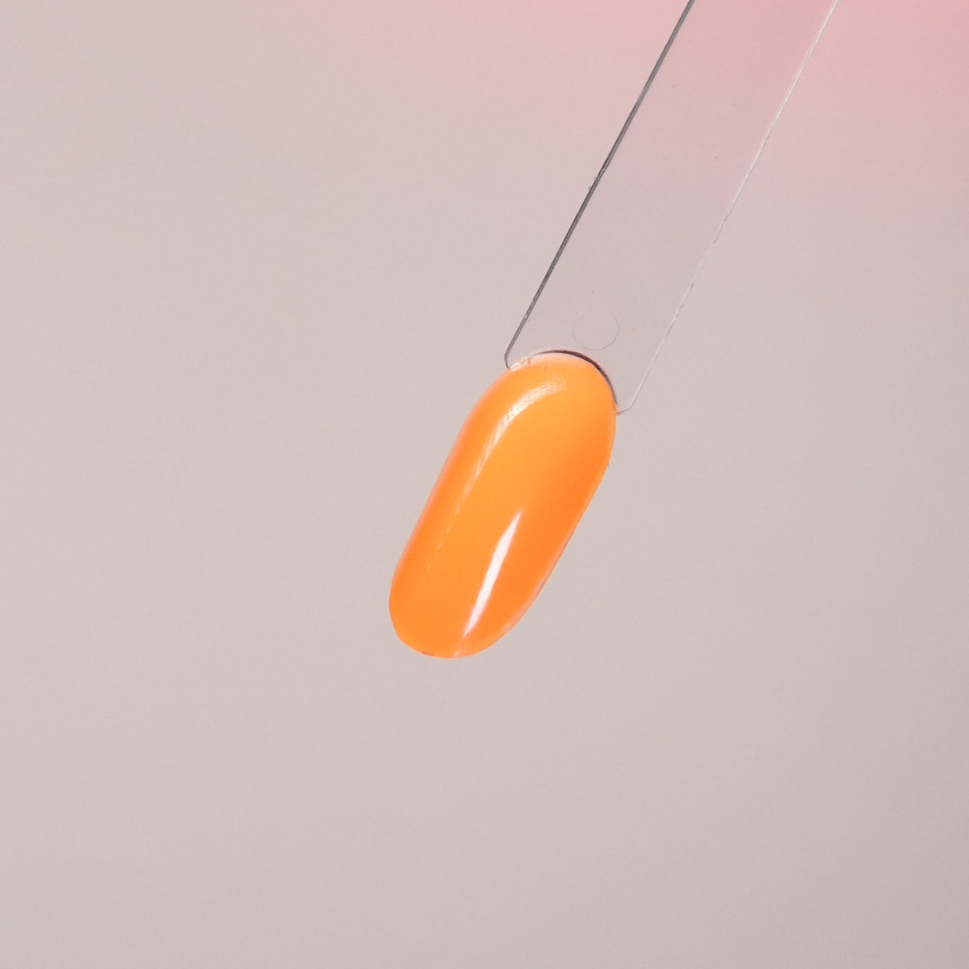 Apricot glow